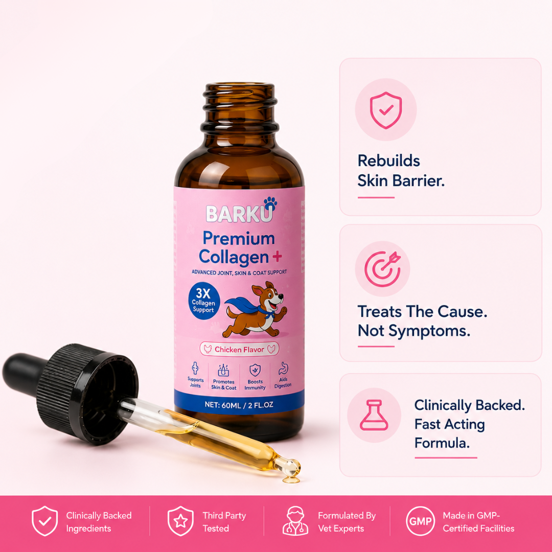 Premium Collagen+