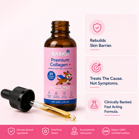 Premium Collagen+