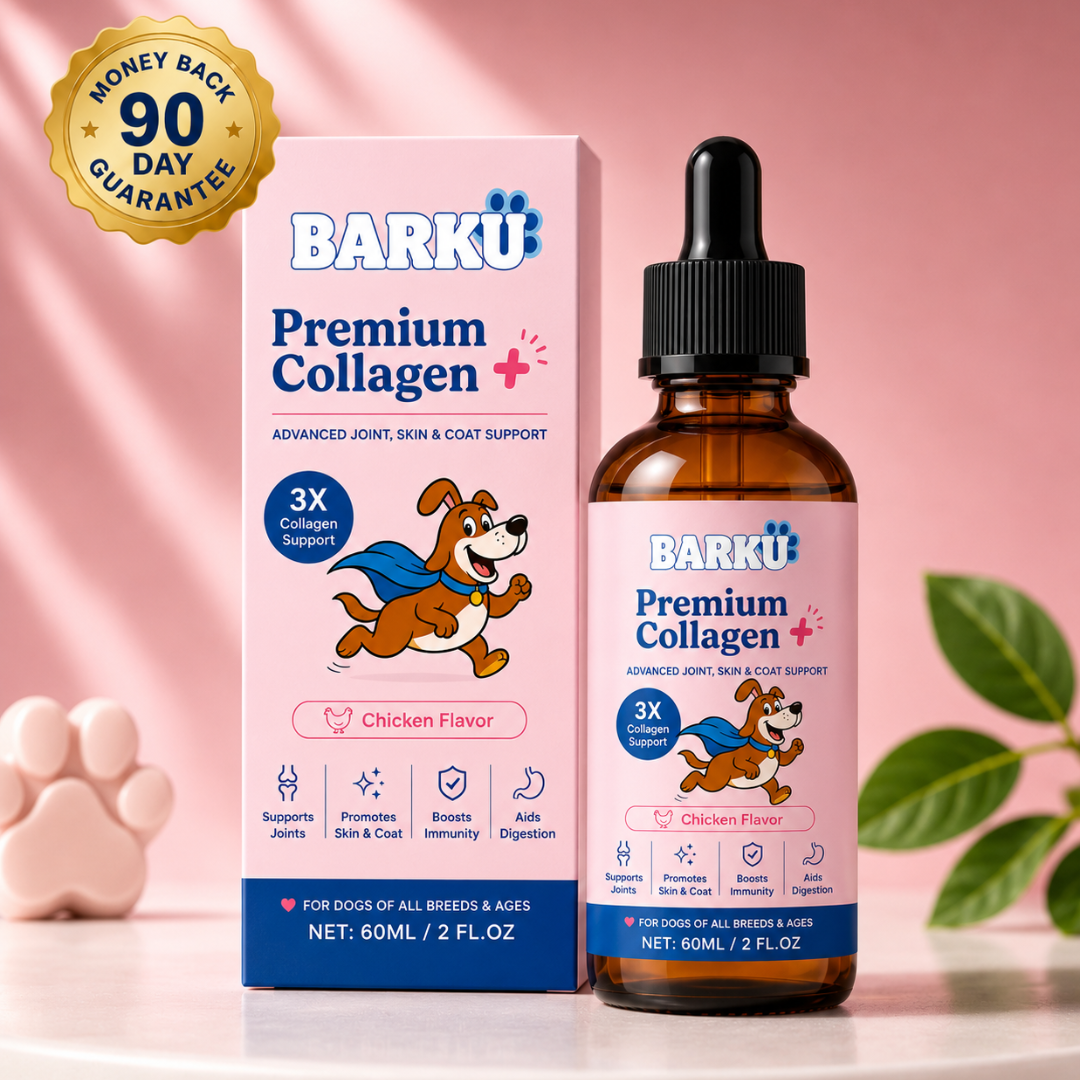 Premium Collagen+