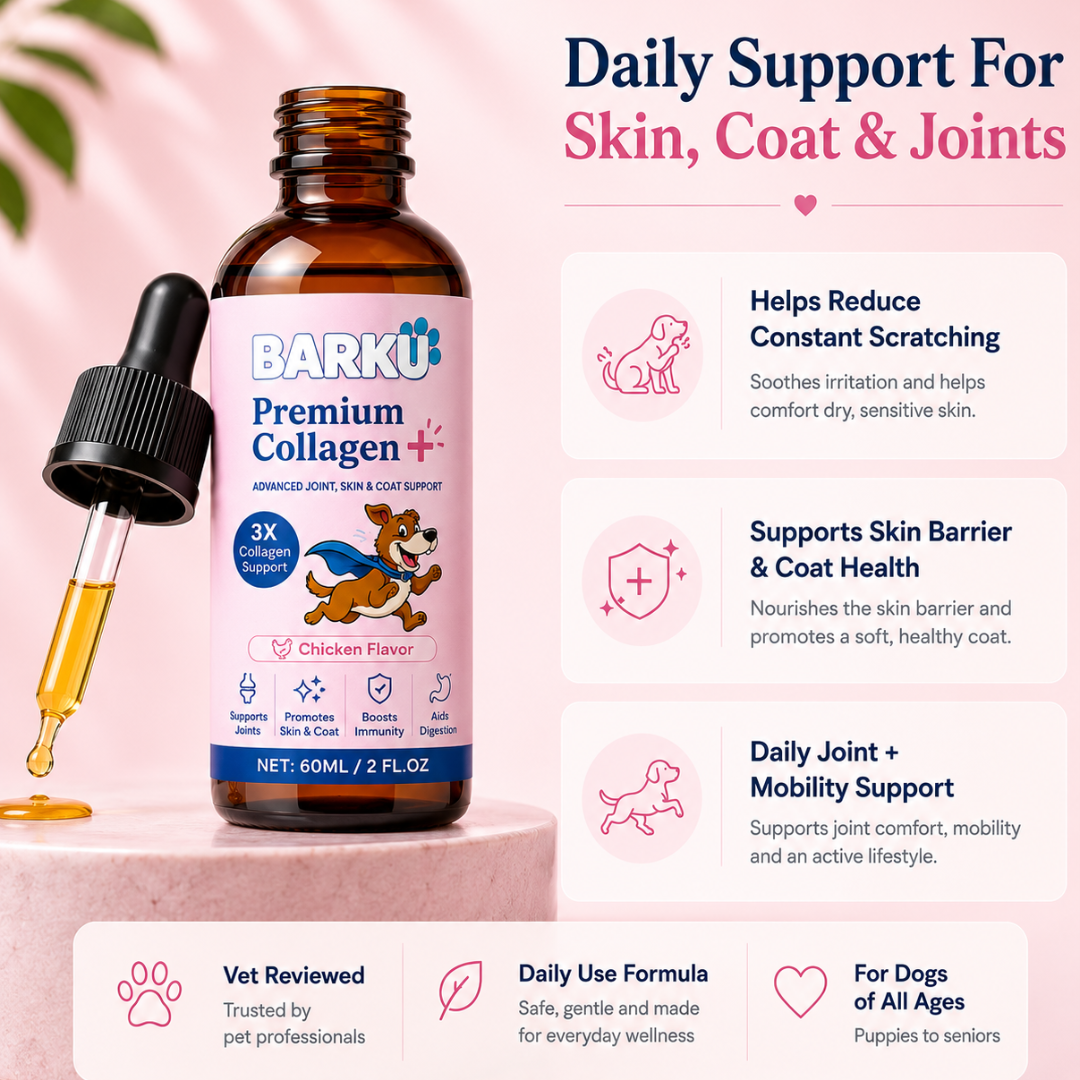 Premium Collagen+