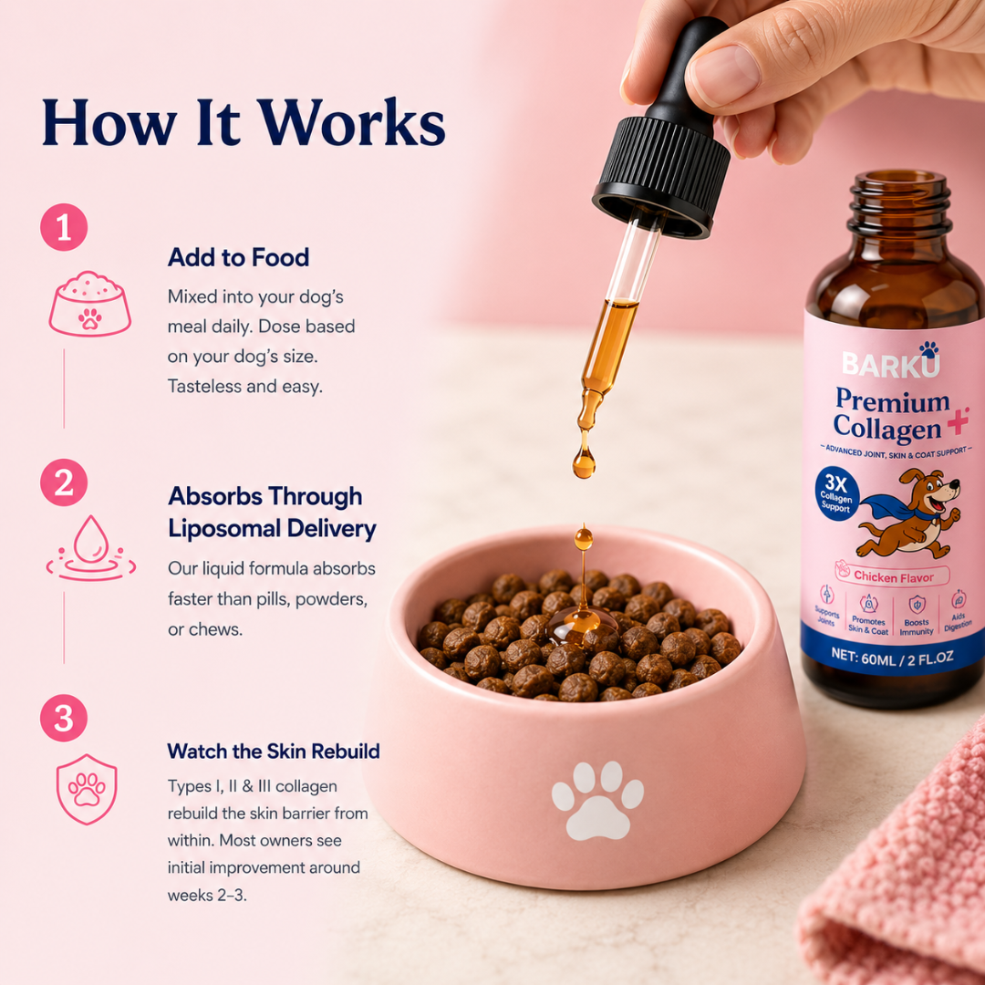 Premium Collagen+