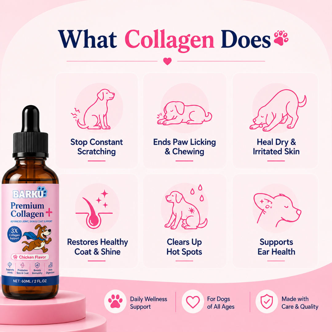 Premium Collagen+