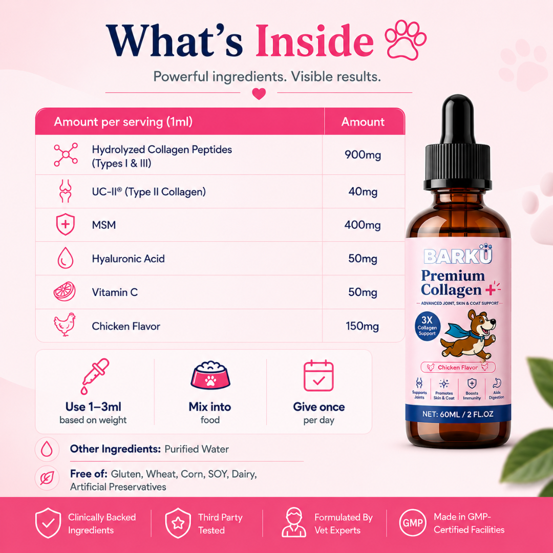 Premium Collagen+