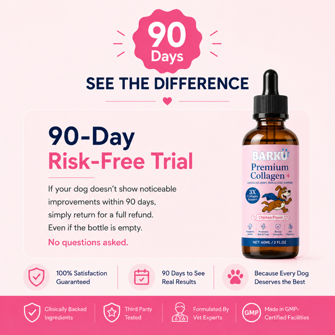 Premium Collagen+